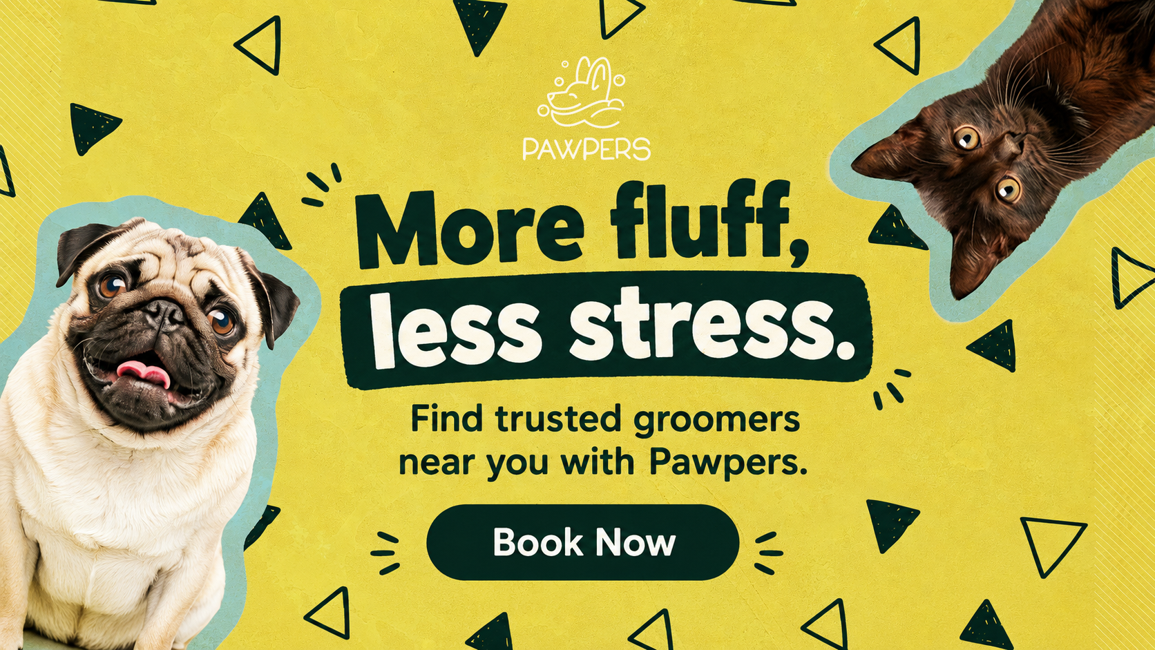 Pawper's banner ad