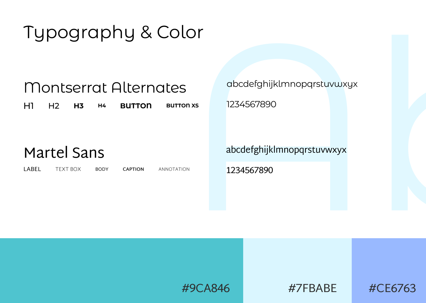 Typography and color scheme for Preventia, chosen to be accessible and clear for users with allergies, ensuring a user-friendly design with a calming, empathetic aesthetic.